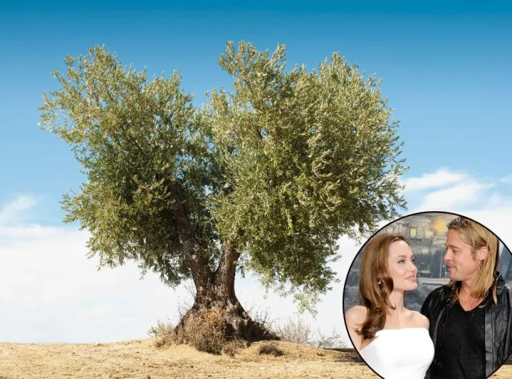 تجاوزت قيمة إحداها 20 مليون دولار ..أغلى هدايا المشاهير في عيد الحب