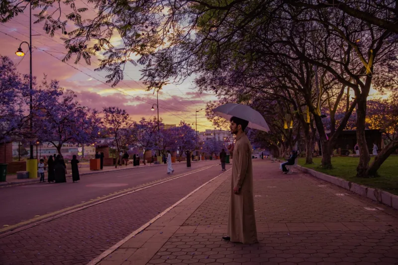 لوحة تشكيلية طبيعية..شاهد| أبها ترتدي البنفسجي بعد ازدهار أشجار الجاكرندا