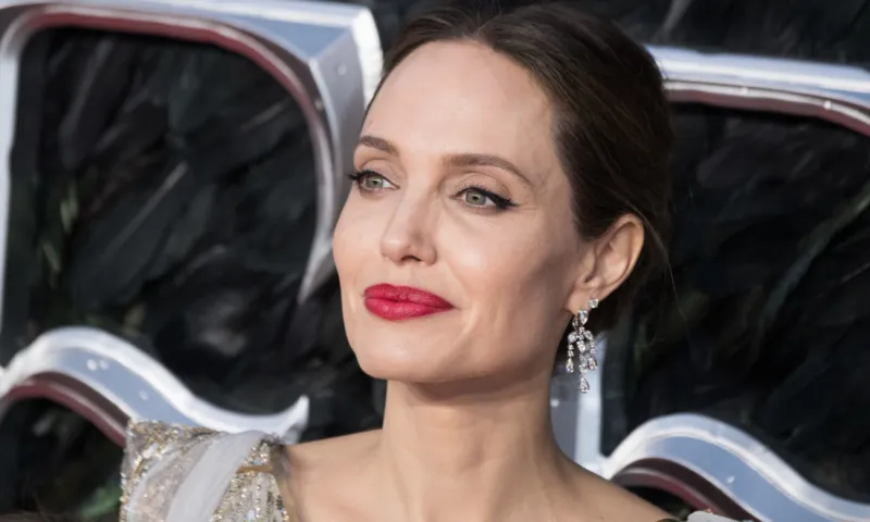 بعد أن امتنعت عن الاستحمام لأيام.. سرب من النحل يغطي جسد أنجلينا جولي! (فيديو)