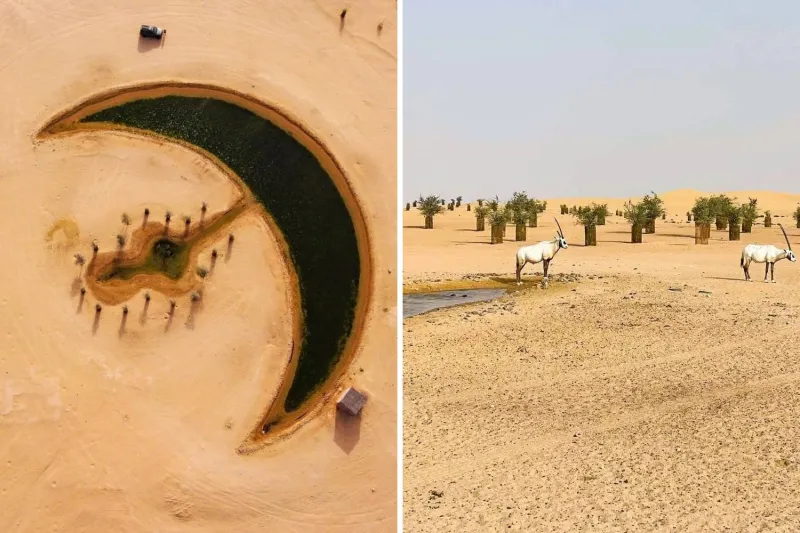 لقطات خلابة.. بحيرات تظهر وسط رمال دبي بشكل مفاجئ (فيديو)