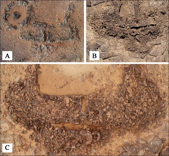 ما هي مستطيلات الصحراء التي أُعلن عن اكتشافها في السعودية؟ (فيديو) 
