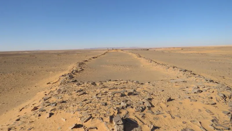 ما هي مستطيلات الصحراء التي أُعلن عن اكتشافها في السعودية؟ (فيديو) 