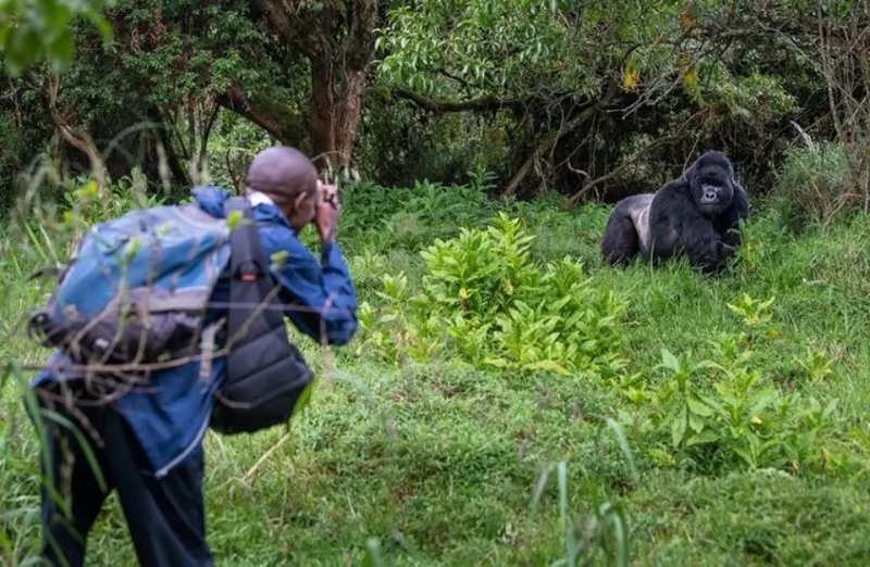 اكتشف سحر رواندا هذا الصيف في رحلة سفاري مليئة بالمغامرات 