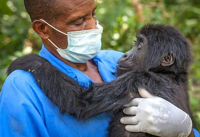 اكتشف سحر رواندا هذا الصيف في رحلة سفاري مليئة بالمغامرات 