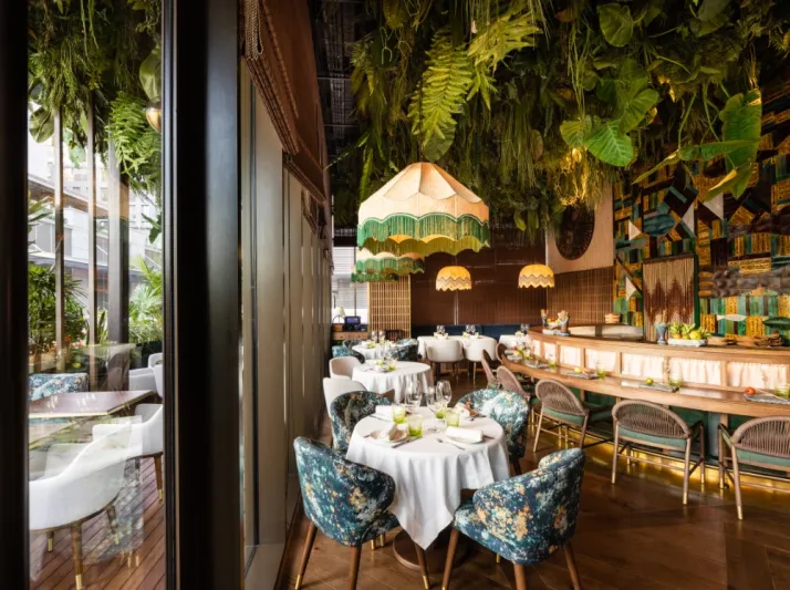 أمازونيكو يقدم تجربة استثنائية لتناول وجبة الغداء