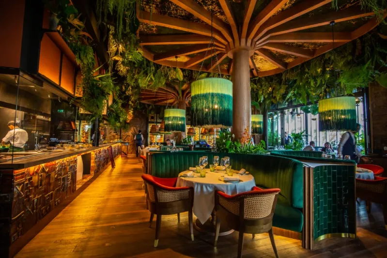 أمازونيكو يقدم تجربة استثنائية لتناول وجبة الغداء