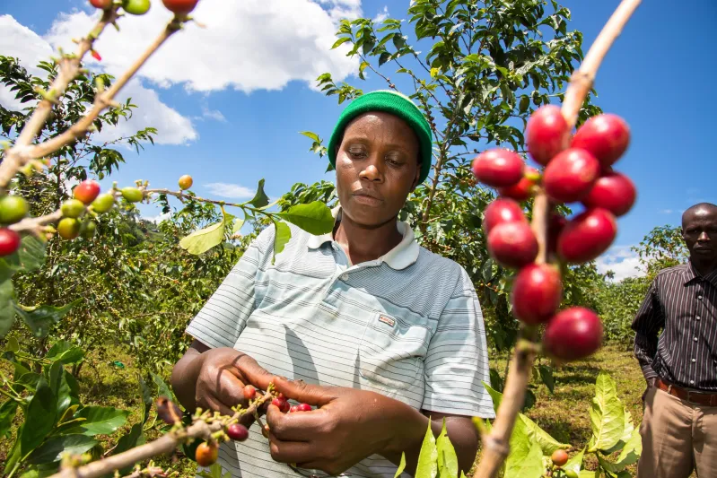 اكتشف سحر رواندا هذا الصيف في رحلة سفاري مليئة بالمغامرات 