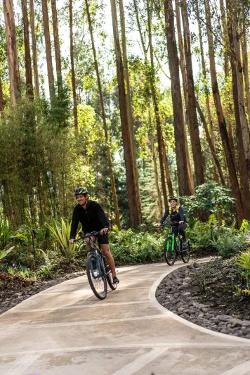 اكتشف سحر رواندا هذا الصيف في رحلة سفاري مليئة بالمغامرات 