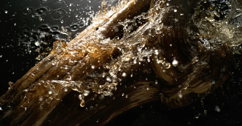 «جيرلان» تطرح  مجموعة "إبسولو دوريان" الجديدة بثلاثة عطور خشبية