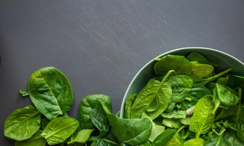 السبانخ .. كنز من الفوائد الصحية لا تفوته