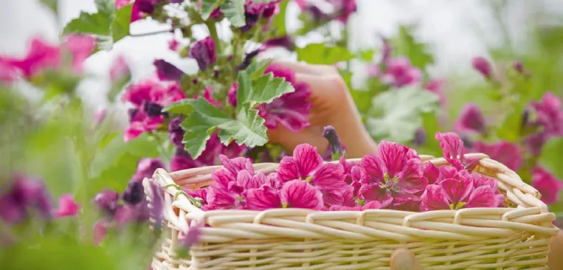 دار Dior تسلط الضوء على تمسكها بالمسؤولية والاستدامة