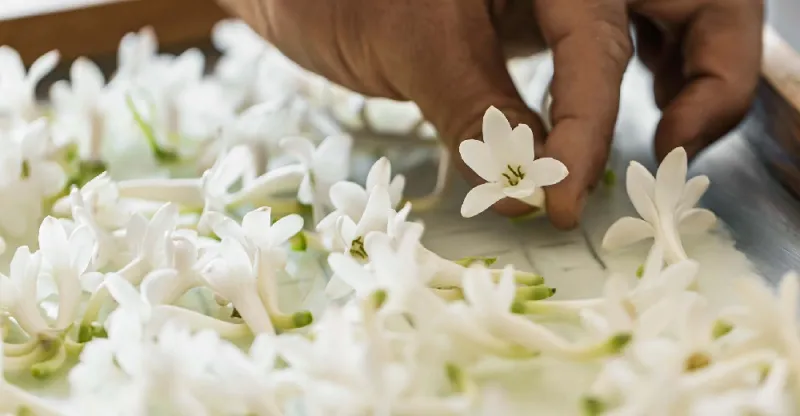 دار Dior تسلط الضوء على تمسكها بالمسؤولية والاستدامة