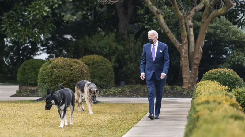 الرئيس الأمريكي وزوجته ينعيان كلبًا