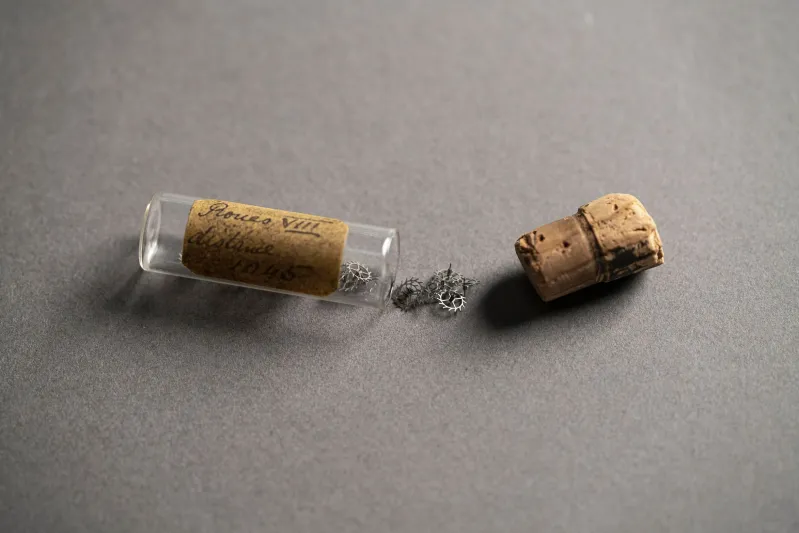 ڤاشرون كونستنتان  تعيد إحياء ساعة أميريكان 1921 بهذه المواصفات