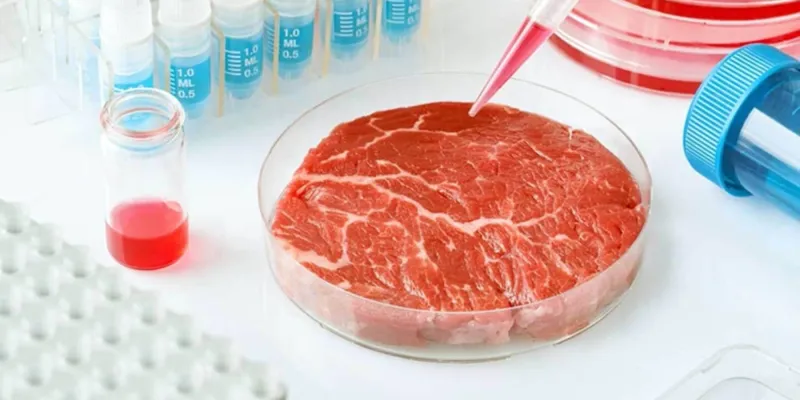 لماذا يدعم بيل غيتس شركة لإنتاج لحوم من ميكروب بركاني مخمر؟