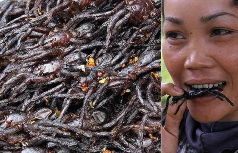 أكثر الوجبات المثيرة للاشمئزاز في العالم