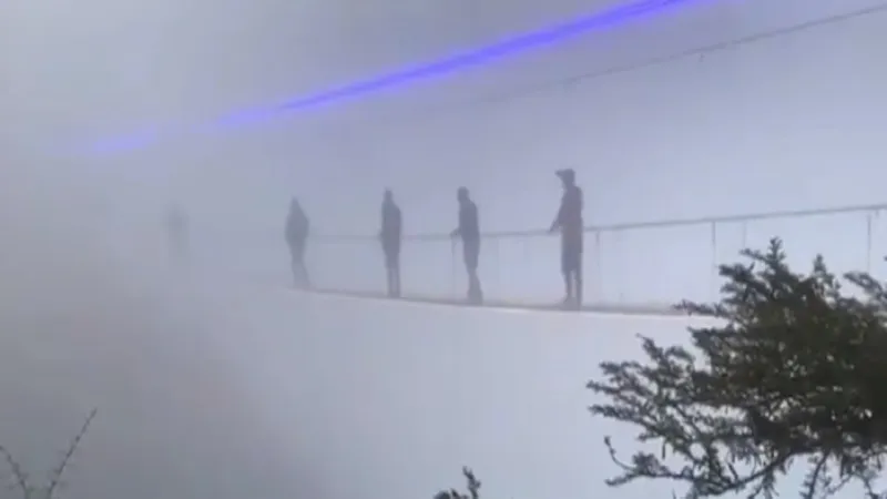 ممشى السحاب في غابة رغدان يجذب عشاق الطبيعة والمغامرة (فيديو)