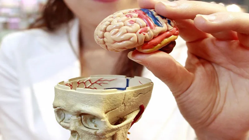 وداعاً للعلاج الكيميائي.. خوذة مغناطيسية تنجح في تقليص ورم قاتل بالدماغ‎