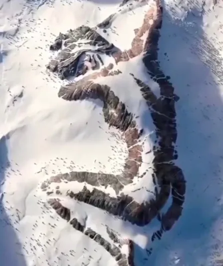 القصة الحقيقية للسيدة النائمة على جبل ألاسكا