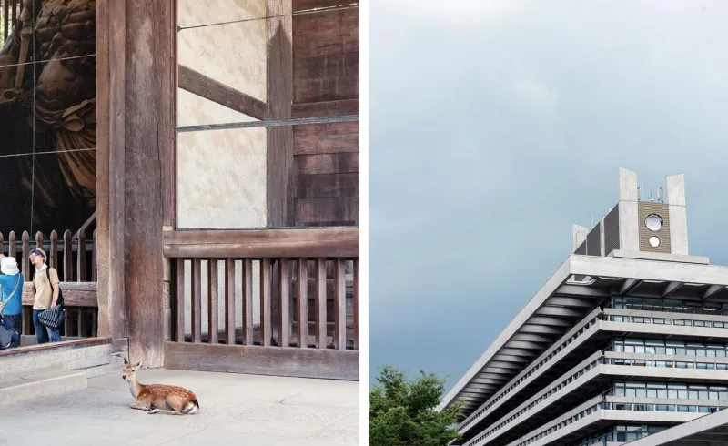 مدينة "نارا" اليابانية تجذب الراغبين في السفر بعوالمها الكلاسيكية والحديثة