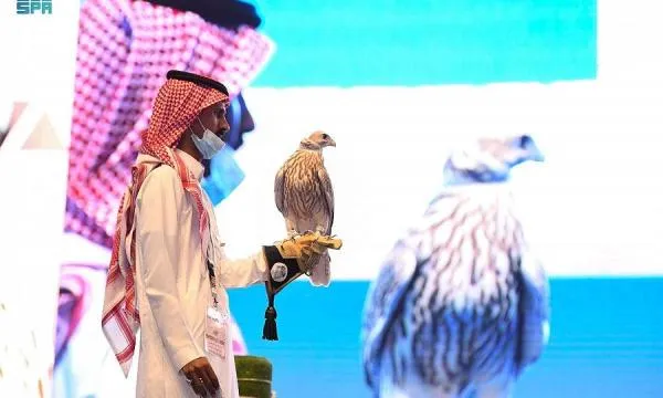 السعودية تشهد بيع أغلى صقر بالشرق الأوسط بقيمة 270 ألف ريال سعودي