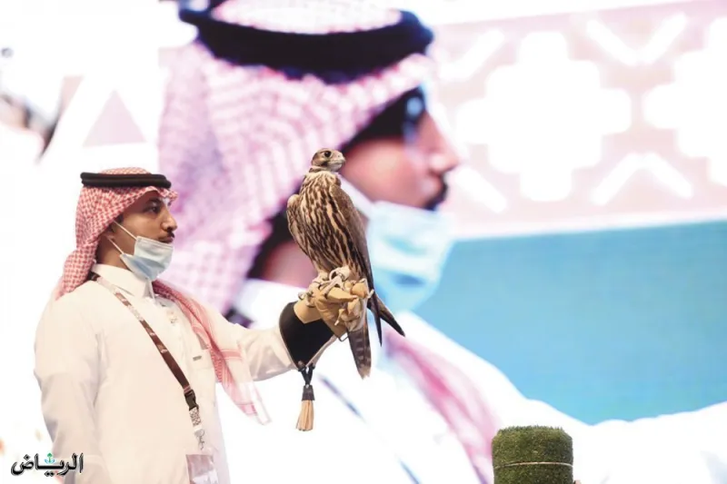 السعودية تشهد بيع أغلى صقر بالشرق الأوسط بقيمة 270 ألف ريال سعودي
