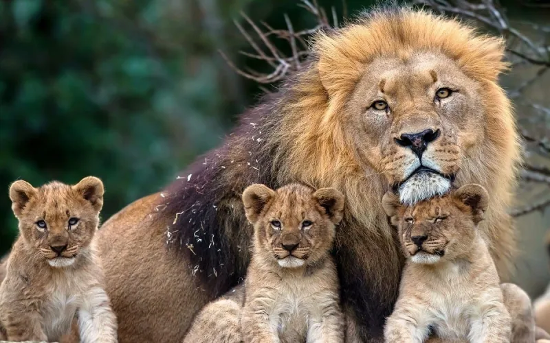 حديقة حيوان تحبس الزائرين في أقفاص بدلاً من الحيوانات!