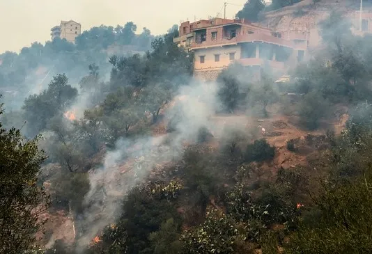 ألسنة اللهب تلتهم المباني السكنية في الجزائر (فيديو)