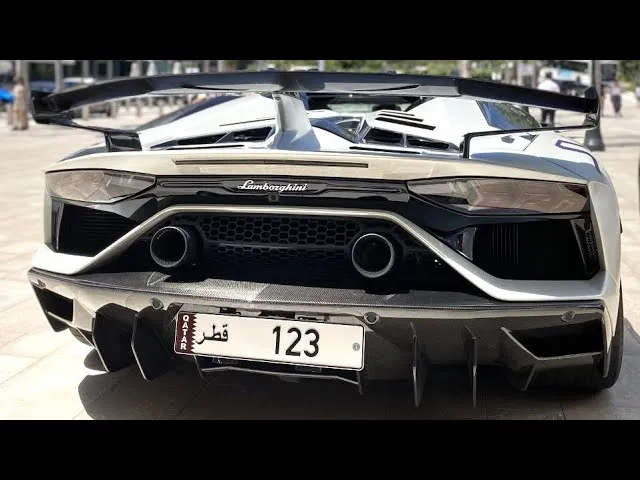 خليجي يقتنص لوحة لسيارته الفارهة بـ 12 مليون دولار (صور)