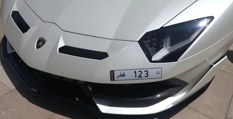 خليجي يقتنص لوحة لسيارته الفارهة بـ 12 مليون دولار (صور)