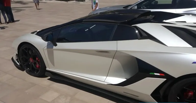 خليجي يقتنص لوحة لسيارته الفارهة بـ 12 مليون دولار (صور)