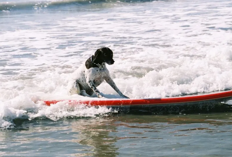 أغرب الخدمات الفندقية حول العالم