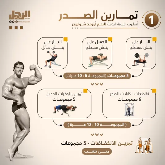أسلوب اللياقة البدنية للنجم أرنولد شوارزنجر 