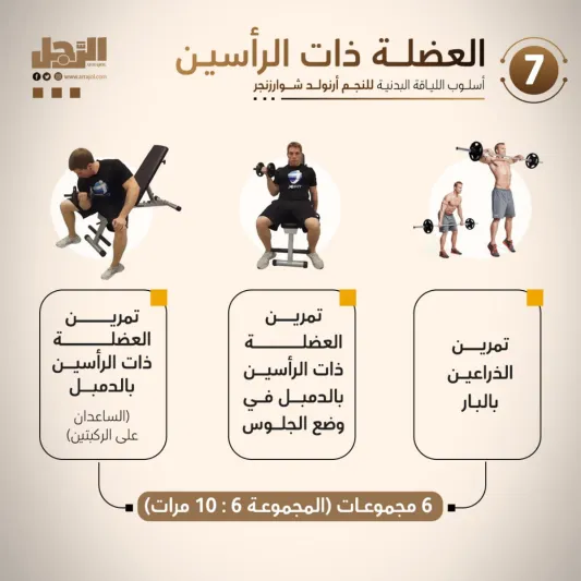 أسلوب اللياقة البدنية للنجم أرنولد شوارزنجر 