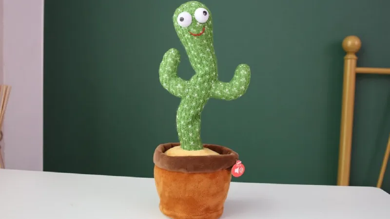 ما قصة الصبارة الراقصة وعلاقتها بمواقع التواصل؟ (فيديو)  