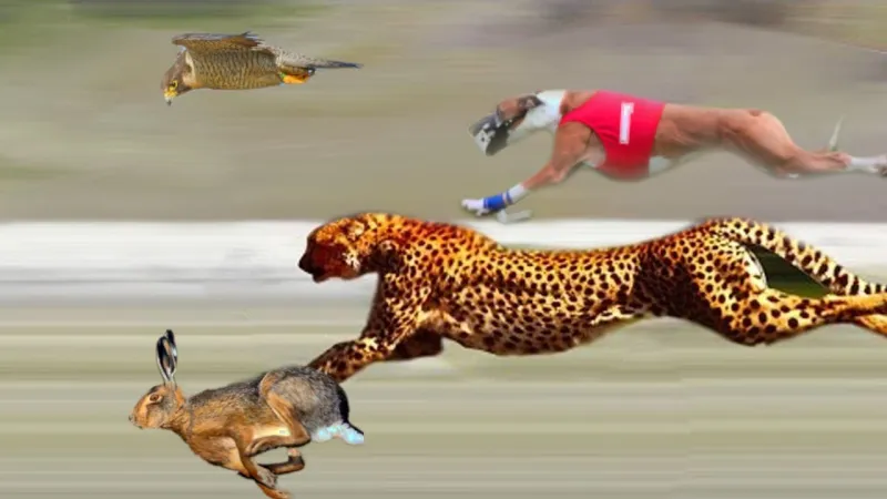 لماذا تتفوق الحيوانات على عدائي أولمبياد طوكيو 2020 في الركض؟!