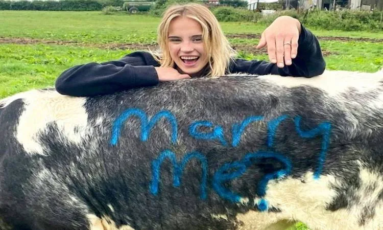 بمساعدة بقرتين.. شاب يطلب الزواج من حبيبته