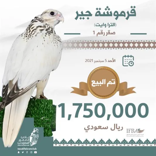 بيع أغلى صقر في العالم مقابل مليون و750 ألف ريال