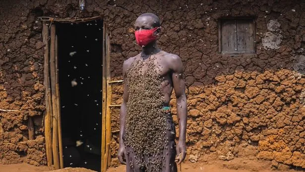 من هو مَلِك النحل الذي تعيش خلية على جسده منذ 30 عاماً؟