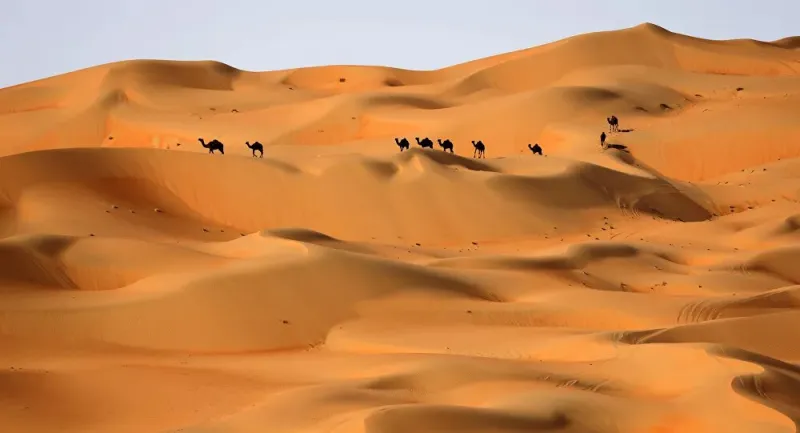 اكتشاف سر تماثيل مخيم الجِمال في شمال الجزيرة العربية