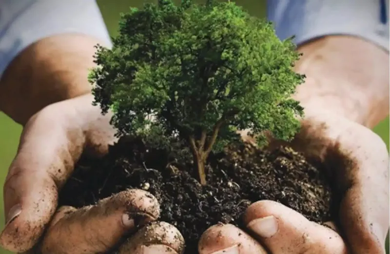 لمواجهة أزمة المناخ.. افتتاح "منتدى السعودية الخضراء" و"الشرق الأوسط الأخضر" في الرياض الشهر المقبل