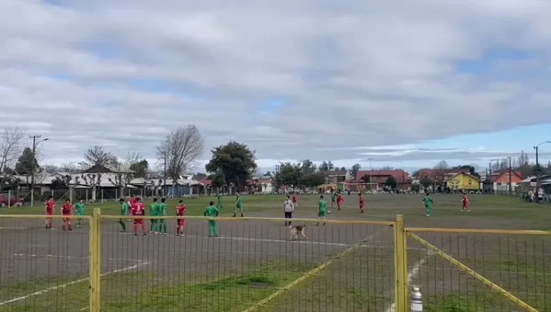 كلب يقتحم الملعب ويسجل هدفًا برأسه! (فيديو)