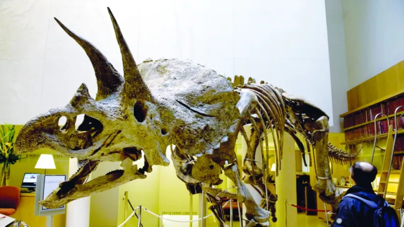 في سابقة عالمية.. عرض ديناصور عمره 66 مليون سنة بمزاد علني 