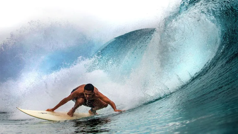 في مشهد مذهل.. ماذا يفعل حوت أحدب بجانب راكبي الأمواج ؟! (فيديو) 