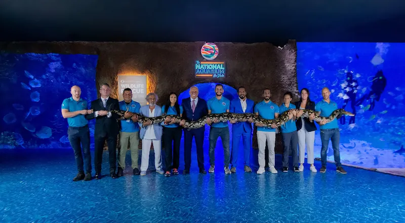 أكبر أفعى في العالم تنتظر زوارها في أبو ظبي (فيديو)