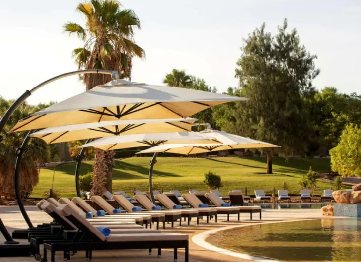 منتجع نوفا: وجهتك الرائعة للإقامة ورحلات السفاري