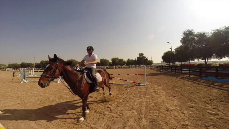 لعشاق الخيول ..أنضم لأفضل مدارس تعلم الفروسية من هنا