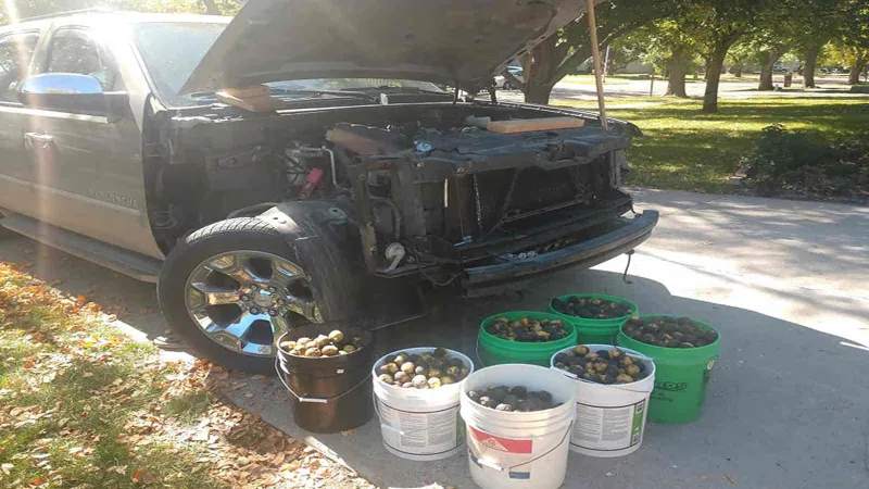 سنجاب يحول حياة أمريكي لجحيم منذ  عام 2013