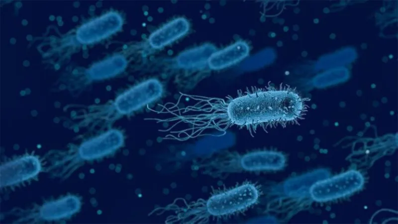 الأردن يتوصل لمصادر جرثومة شيغيلا.. وهذه أعراضها وطرق العدوى بها