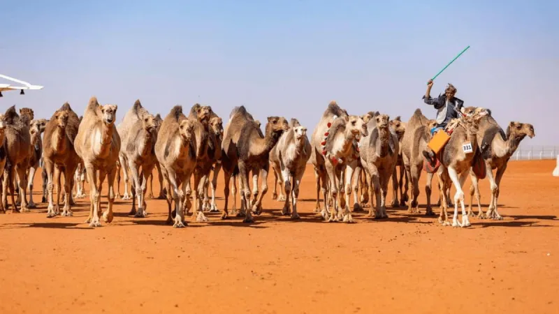 العثور على جثة سعودي بعد فقدانه 3 أشهر في صحراء القويعية
